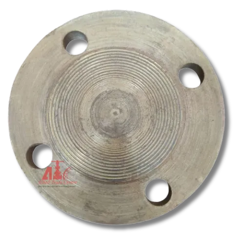MS Blind Flange (BLRF)