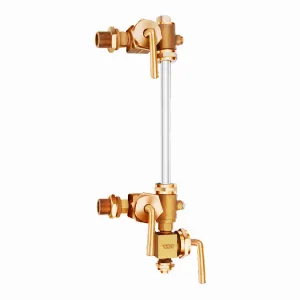 DRP Bronze Asbestos Packed Water Level Gauge Set — Screwed