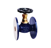DRP Gun Metal Wheel (Globe) Valve Class-1 — Flanged